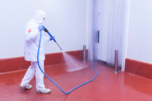 Best Winterizing Services  in Fraser, CO